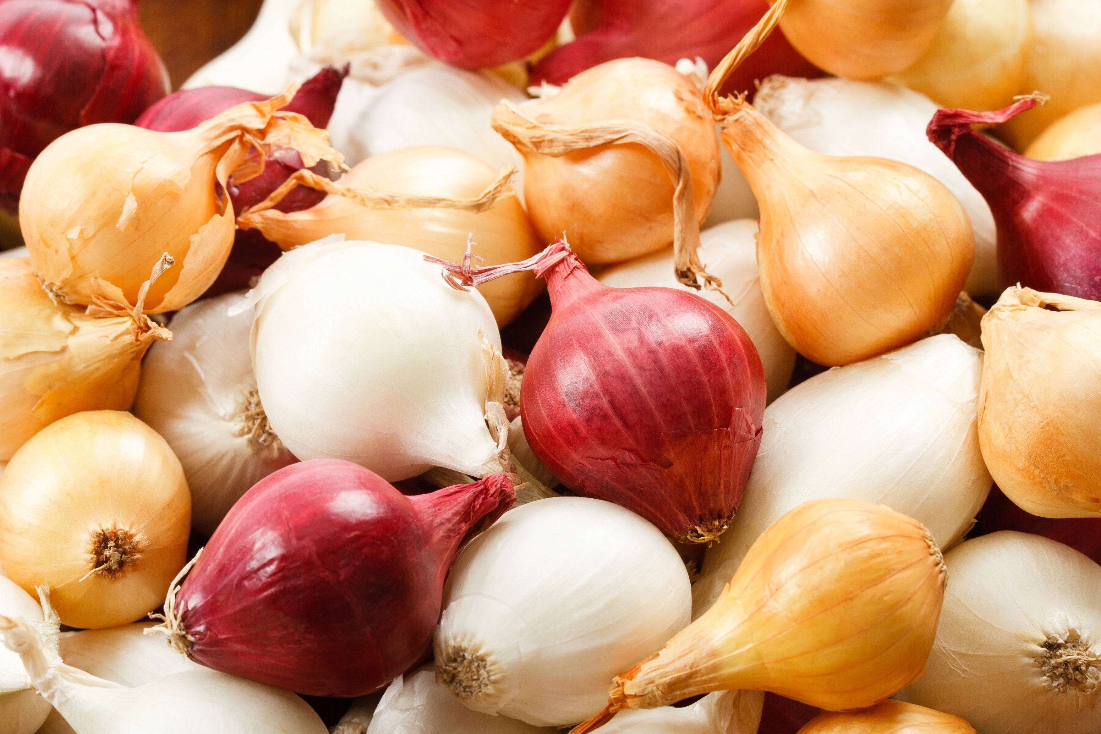 Intense Flavor Red Pearl Onions